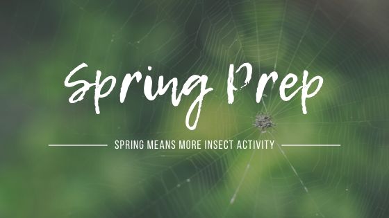 Spring Prep Guide – Pest Control